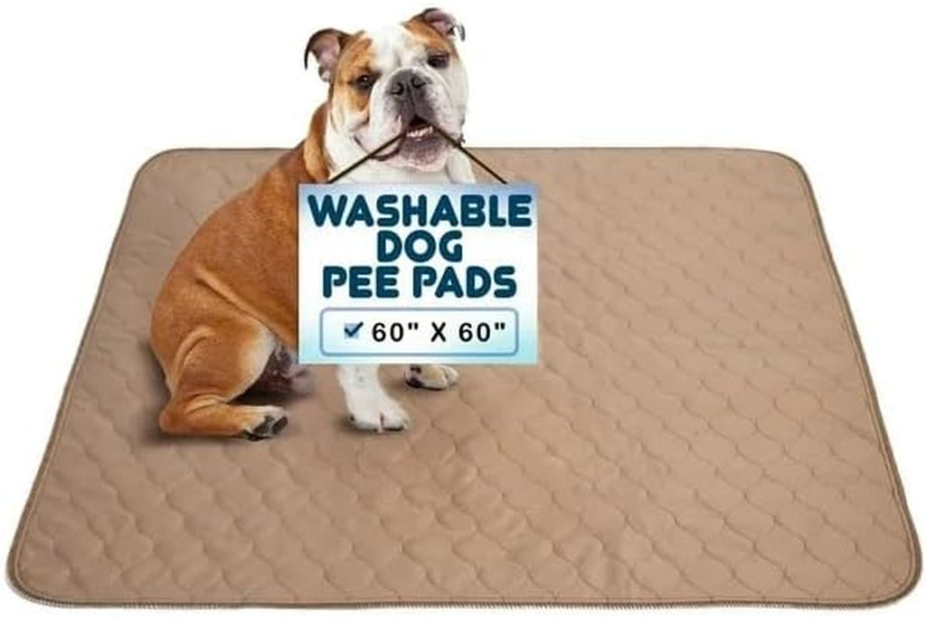 Pee Pads for Dogs - Dog & Puppy Training Pads - Rounded Corners - Washable, Reusable - Laminated, Waterproof, Sanitary Potty Protector Dog Mat - Pet Essentials