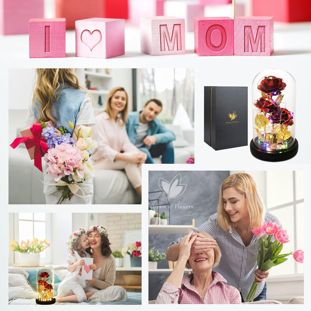 Valentines Day Rose Gifts for Her Galaxy Flower Rose in Glass Dome with 2 Light Modes,Enchanted Rose Light up Rose Valentines Anniversary Birthday Gifts for Wife Girlfriend Women Mom Best Friend Her