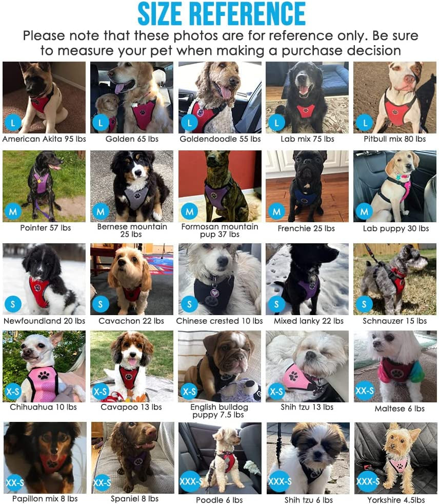 Dog Seat Belt for Car, Adjustable Dog Car Harness for Large Medium Small Dogs, Soft Padded & Breathable Mesh Dog Seatbelt with Car Strap and Carabiner (Blue,M)