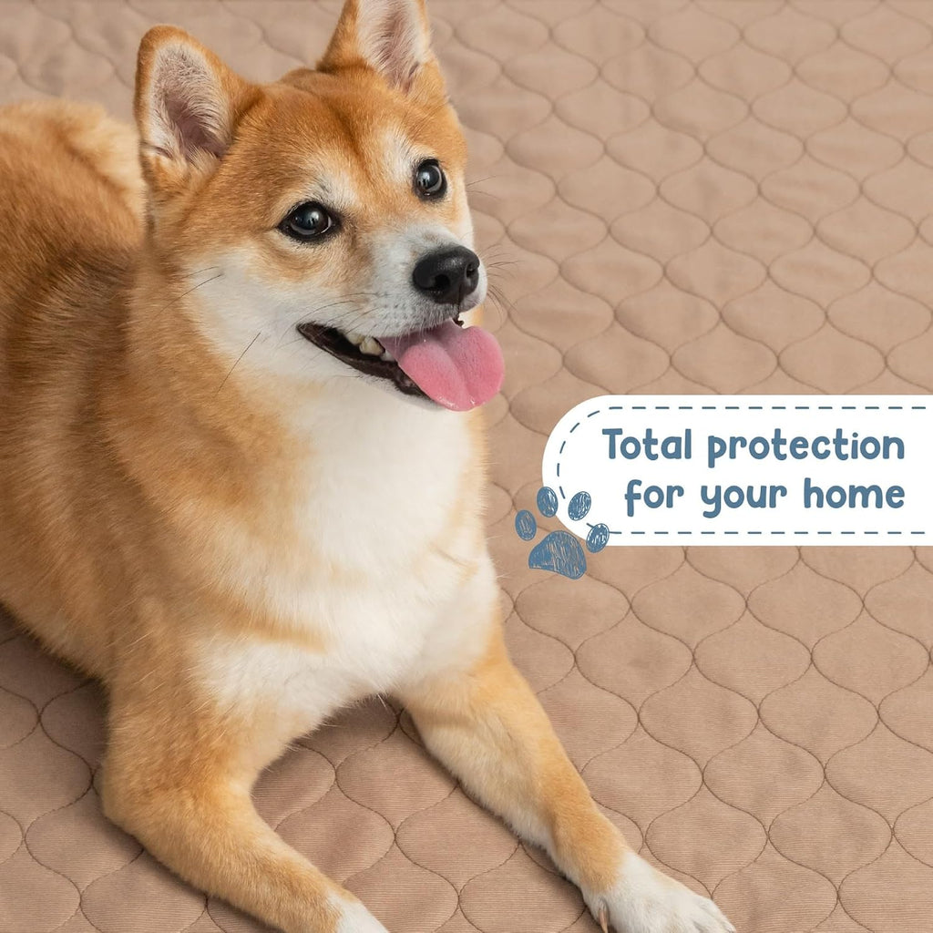 Pee Pads for Dogs - Dog & Puppy Training Pads - Rounded Corners - Washable, Reusable - Laminated, Waterproof, Sanitary Potty Protector Dog Mat - Pet Essentials